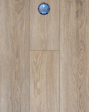 image Provenza Maxcore Provenza Moda Living II 7 - Rule Breaker