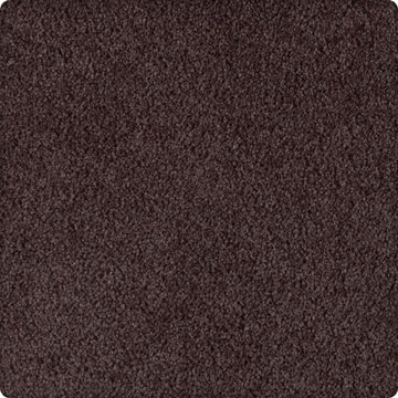 Karastan Soft Extravagance - Fascination