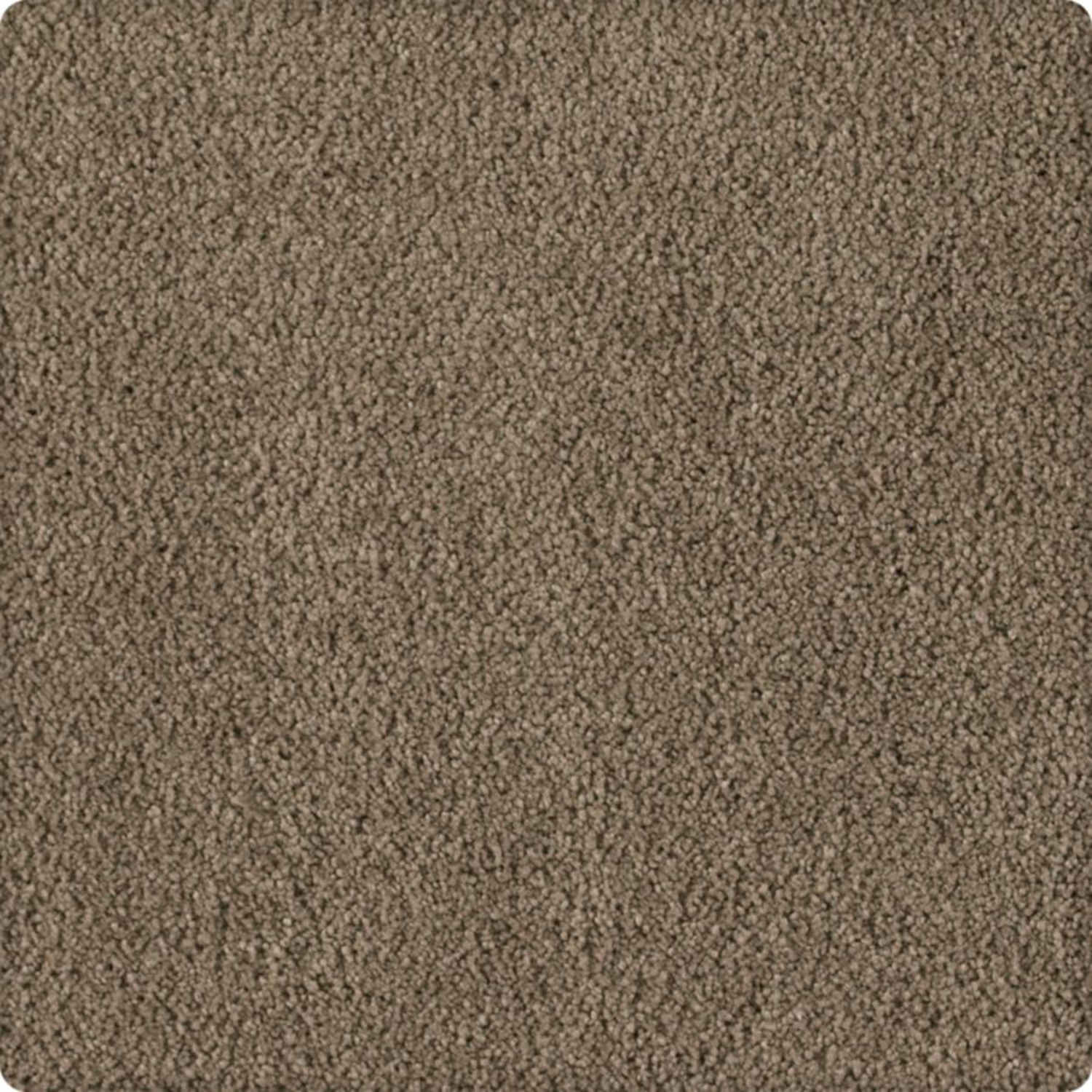Karastan Soft Extravagance - Sequoyah Dusk