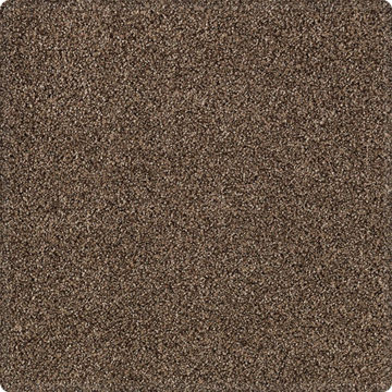 Karastan Gentle Quality - Pinecone