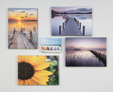Dalia Blossoms Canvas Art  thumbnail 2