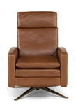 Simon Push Arm Recliner thumbnail 2