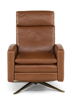 Simon Push Arm Recliner