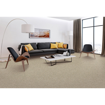 Mohawk Artistic Retreat - Amazon Star