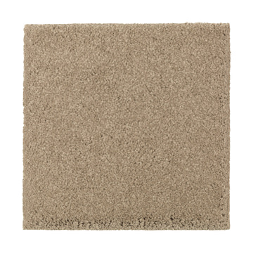 Absolute Elegance 2 - Brushed Suede