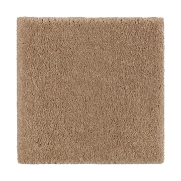 Absolute Elegance 2 - Glazed Ginger