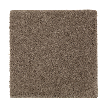 Absolute Elegance 2 - Pine Cone