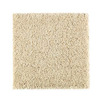 image Pure Distinction 1 - Parchment