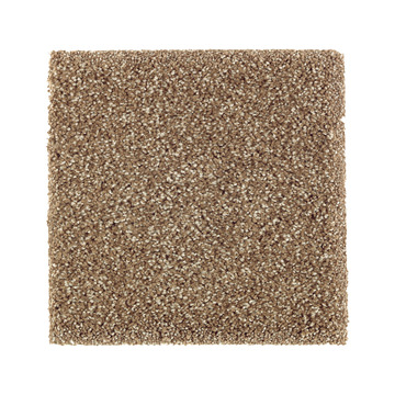 image Pure Distinction 1 - Rich Earth