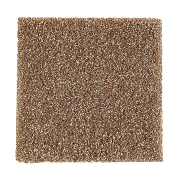 Pure Distinction 2 - Cat-tail