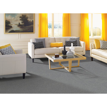 Serene Outlook - Winter Amethyst