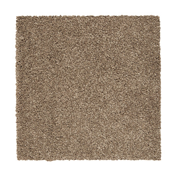 Serene Outlook - Woodland