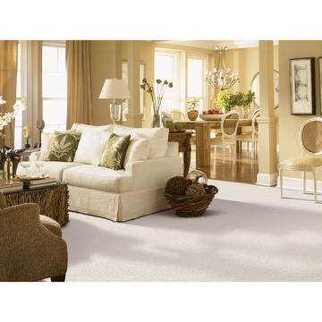 Mellow Retreat - Valley Fog