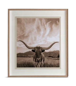 Longhorn Framed Art