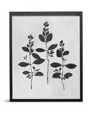 Botanical Study IV Framed Art thumbnail 1