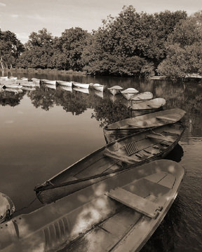 image Calm Afternoon In Paris II