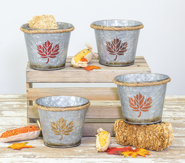 Assorted Galvanized Buckets