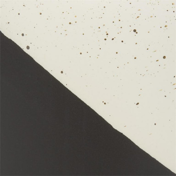 Speckled Ceramic Vase 