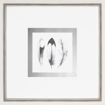 image Watercolor Feathers II Framed Print