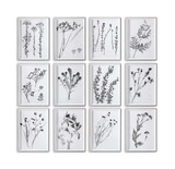 Botanicals Framed Prints - Set of 12 thumbnail 1