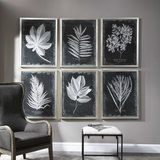 Foliage Botanicals, Set of 6 thumbnail 2