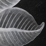 Foliage Botanicals, Set of 6 thumbnail 3