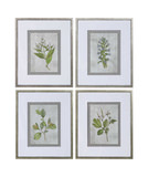 Stem Study Prints thumbnail 1