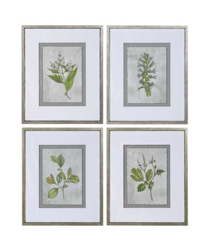 image Stem Study Prints