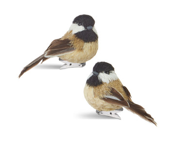 Assorted Clip On Bird Ornaments