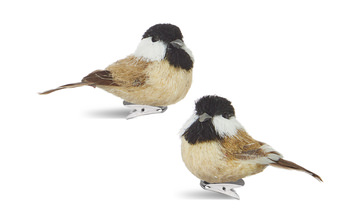 Assorted 3″ Clip On Bird Ornaments