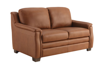 Desi Leather Loveseat