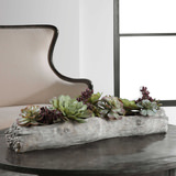 Charita Succulents thumbnail 4