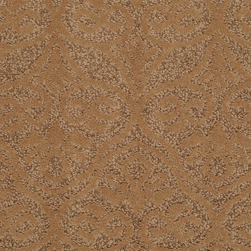 Shaw Modern Amenities - Brass Lantern