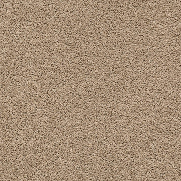 image Shaw Del Morro - Midland