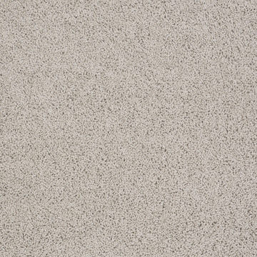 image Shaw Del Morro - Cement