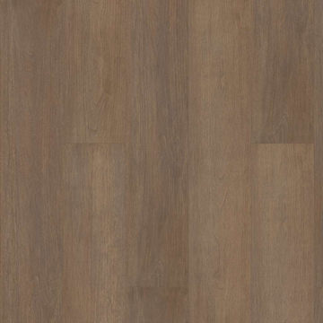 image Shaw Paragon HD+ Natural Bevel - Gable