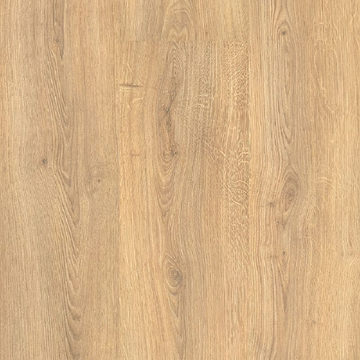 image Mohawk Palm City - Lighthouse Oak