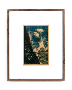 Black Forest Framed Print