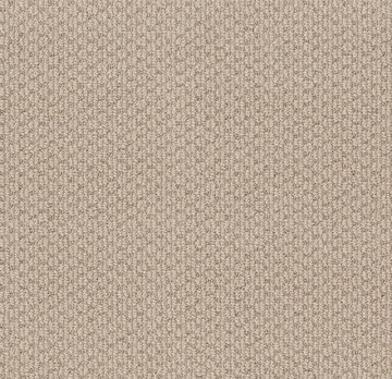 Shaw Cathedral Hill II - Shortbread