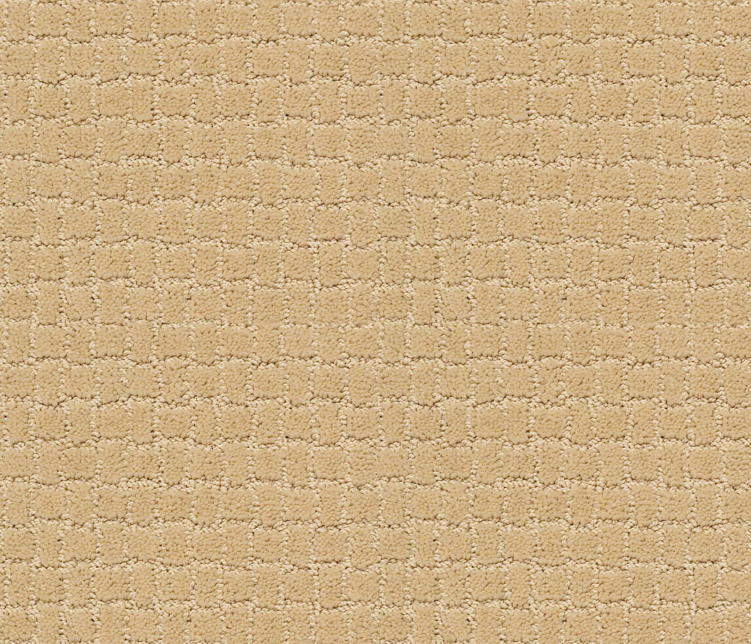 Anderson Tuftex Pawstruck - Cork