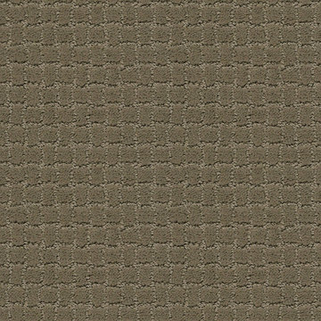 Anderson Tuftex Pawstruck - Dry Sage