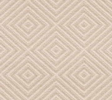 Anderson Tuftex Aristocrat - Daylily