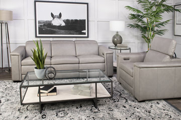 Lioni Power Recliner