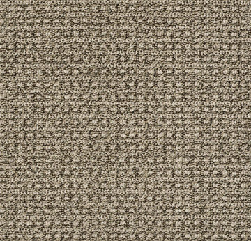 Anderson Tuftex Fetch - Desert Palm
