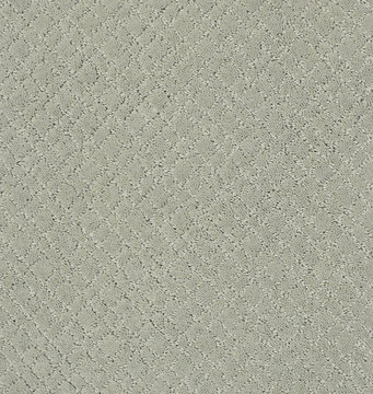 image Anderson Tuftex Mosaic - Rain Dance