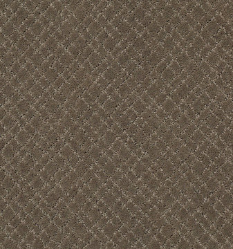 image Anderson Tuftex Mosaic - Dash