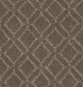 Anderson Tuftex Muse - Dash