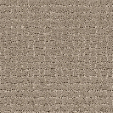 Anderson Tuftex Pawstruck - Mocha Cream