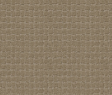 Anderson Tuftex Pawstruck - Driftwood