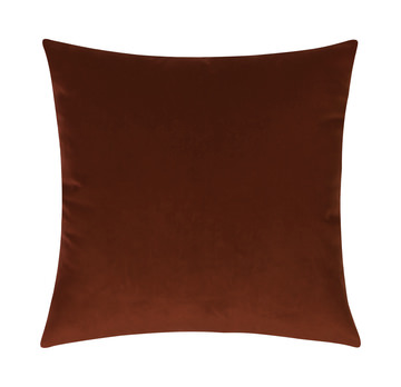 image Velvet Pillow 22″